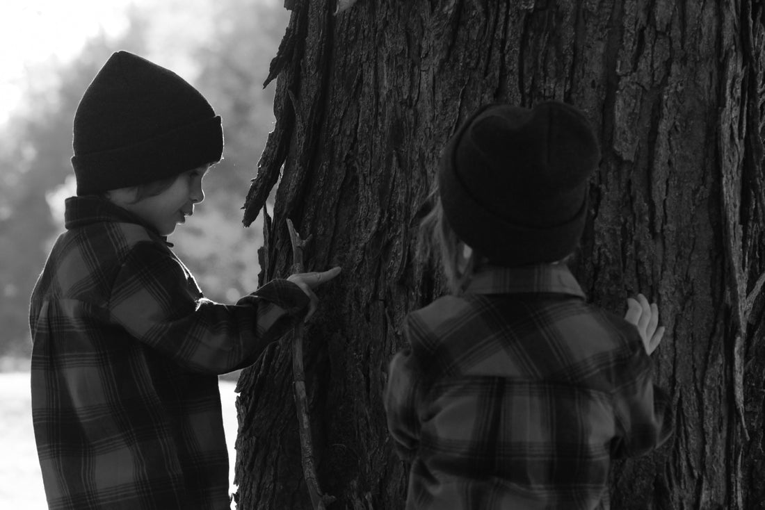 Ce que le marché nous a appris sur les familles