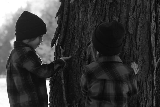 Ce que le marché nous a appris sur les familles